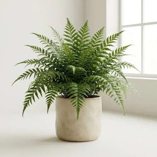 Fishtail Sword Fern