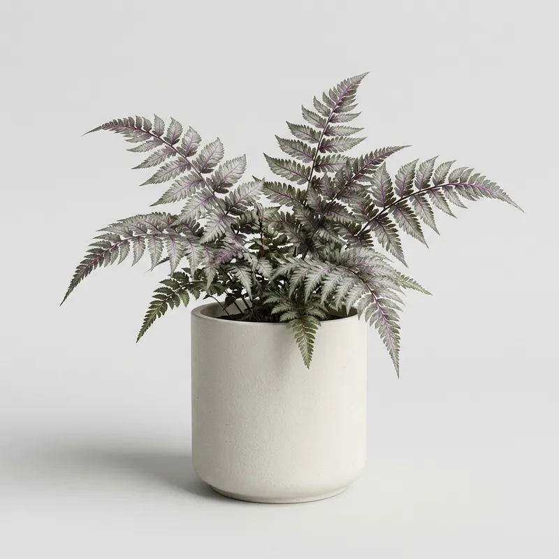 Japanese Painted Fern